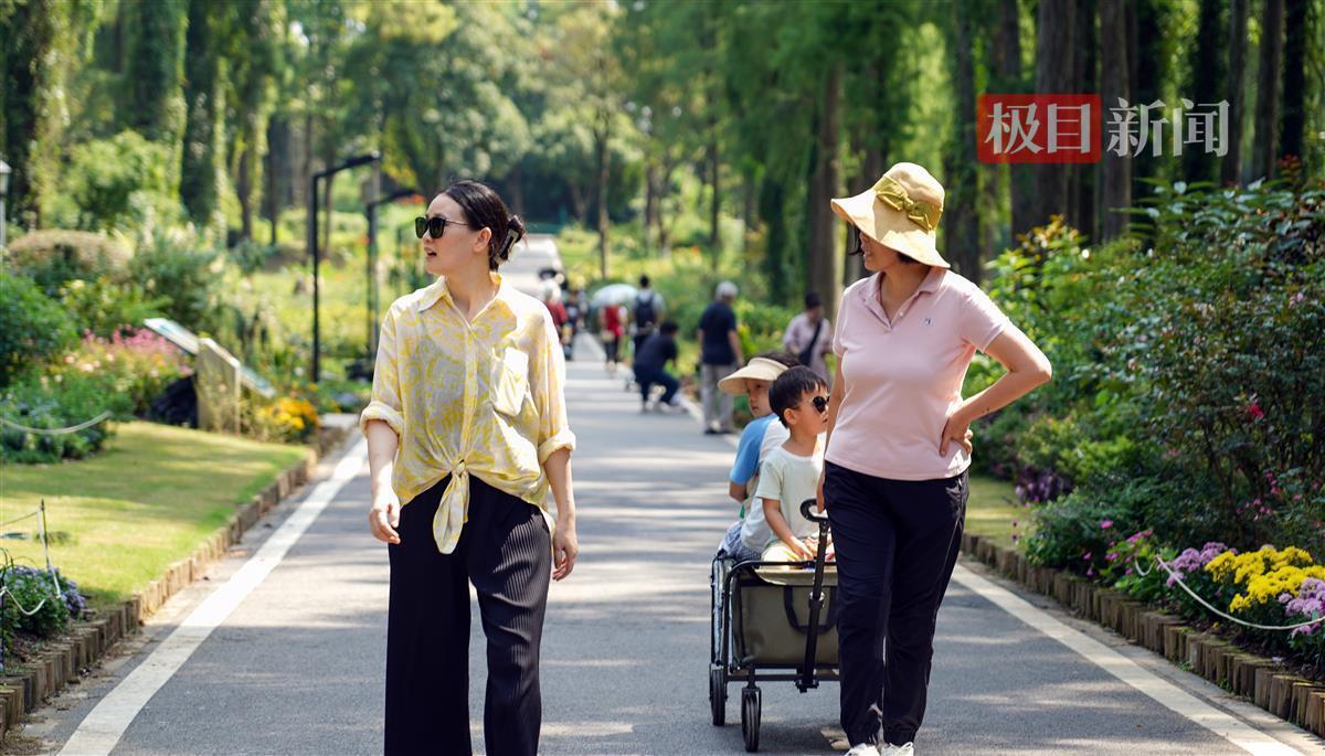冰球突破摆脱最大奖金